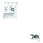 svg+xml,%3Csvg%20xmlns%3D%22http%3A%2F%2Fwww.w3