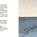 svg+xml,%3Csvg%20xmlns%3D%22http%3A%2F%2Fwww.w3